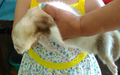 image1530735236095.png