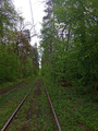 image1530895057518.png