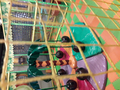 image1531259774940.png