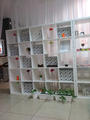 image1532531094582.png
