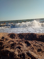 image1533550859963.png
