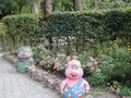 garden.jpg