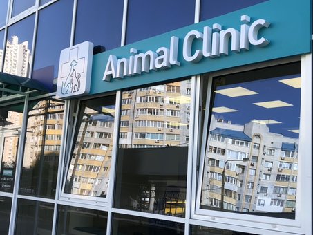 Ветеринарна клініка «AnimalClinic» у Києві. Записуйте вихованця на вакцинацію з акції.