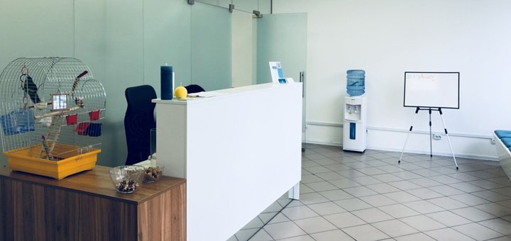 Приймальна ветеринарна клініка «Енімал-клінік» у Києві. Уточнюйте прийом ветеринара зі знижкою.