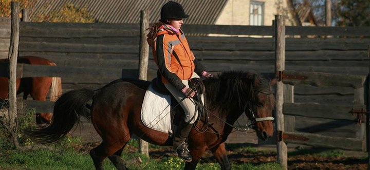 Акция прогулки на лошадях или занятия по верховой езде в конюшне «Идиллия»