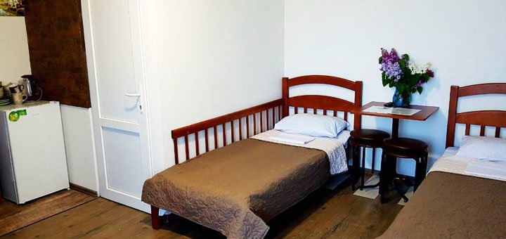 Discounts for rest in the guest house shafran near odessa14
