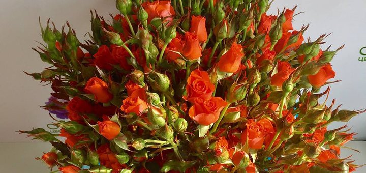 Доставка цветов по Киеву «SendFlowers» со скидкой