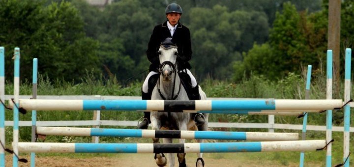 Кінний клуб «horse yard» акції