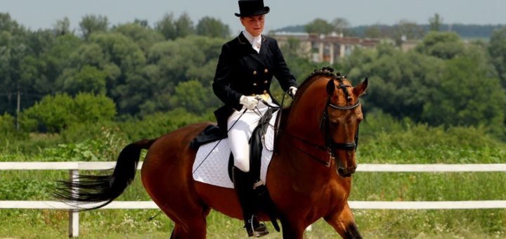 Кінний клуб «horse yard» харків
