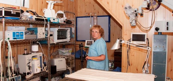 Ветеринар Сергєєва Галина Анатоліївна клініки «Ветеринарна допомога» у Маріуполі. Записатися на консультацію ветеринара зі знижки.