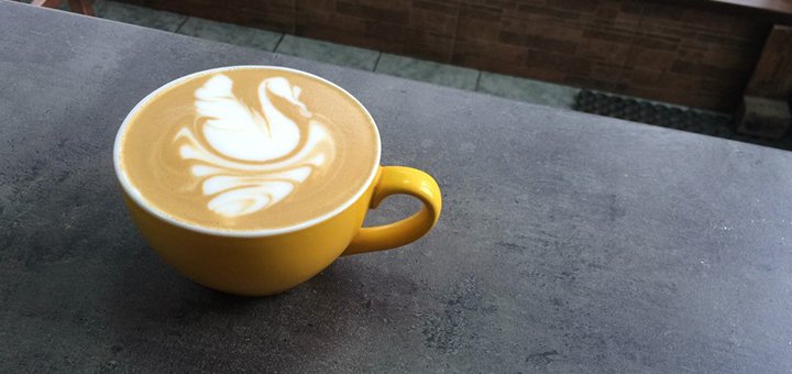 Акции в кафе «LION Coffee» на Белорусской 2