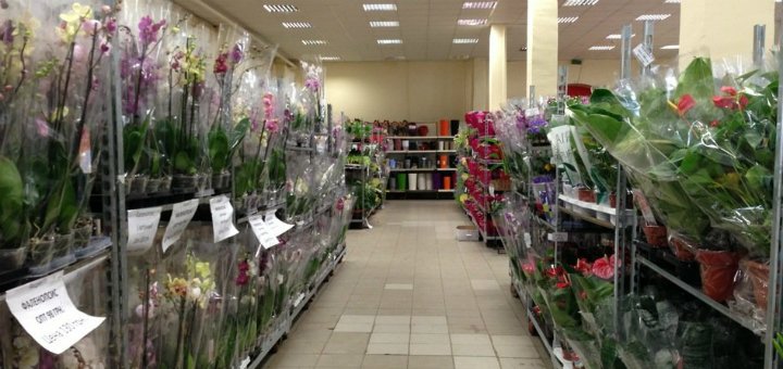 Низькі ціни склад-магазин квітів «екзотик флора»