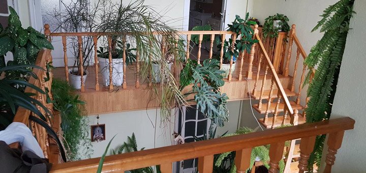 Скидки и акции на проживание в гостевом доме «Guest House Marii Demchenko» Одесса