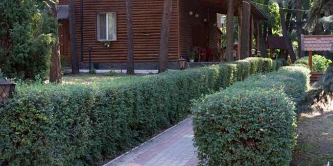Скидки и акции на отдых в загородном комплексе «Дача Горца» Кировское