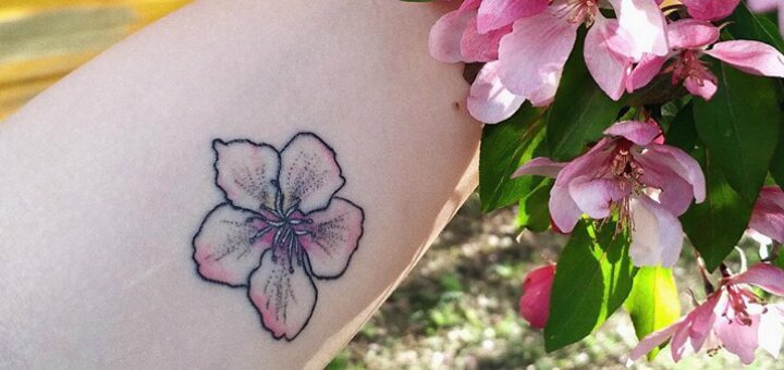 Discounts tattoo salon &quot;nastya kat tattoo&quot;