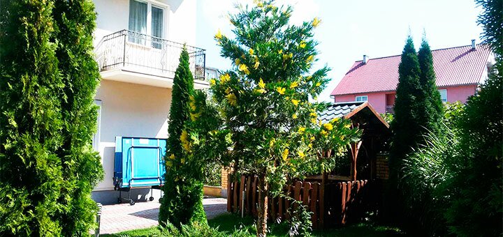 Discounts on holidays at the Edelweiss hotel in Polyana12