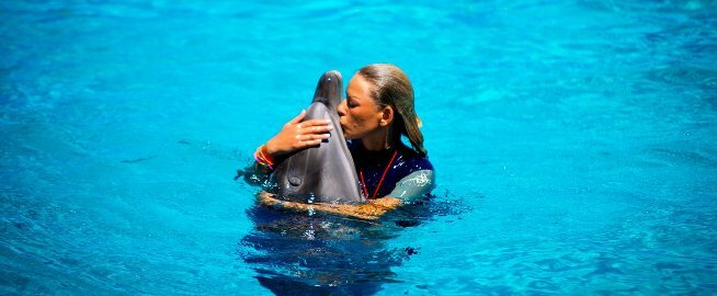 Low prices dolphinarium &quot;oscar&quot;