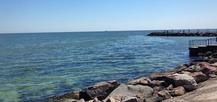 Sauvignon beach in odessa 4