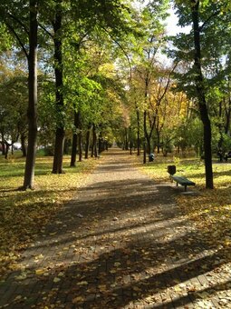 Парк «Куреневский» Киев