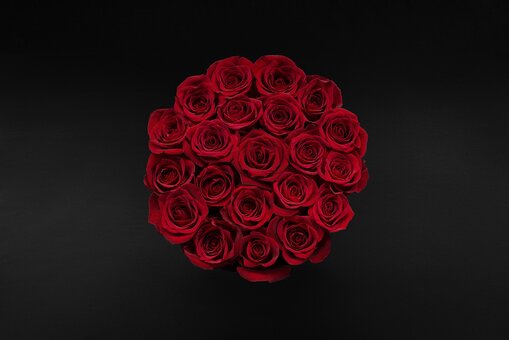 Букет з червоних троянд «The Wild Rose». Замовити зі знижкою.