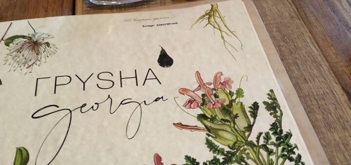 Promotional offers in the restaurant &quot;grusha georgia&quot;