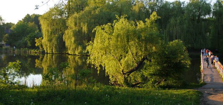 «ботанічний сад поділля» вінниця
