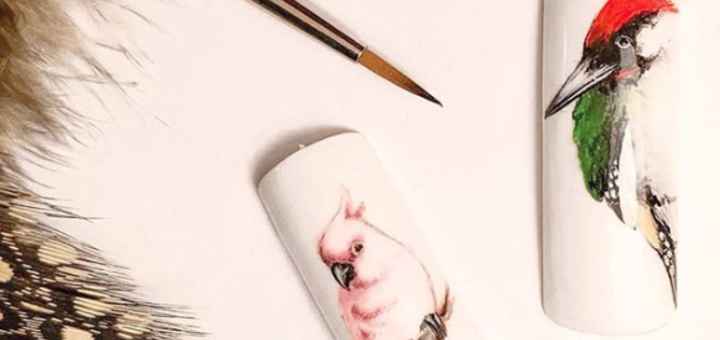 Large selection of materials for nail design