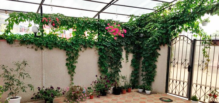 Discounts for holidays in the hotel sirenevaya in zatoka2