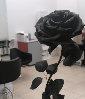 Black rose