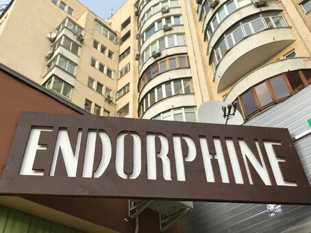 Hookah endorphine bar obolon. book tables for promotion 13