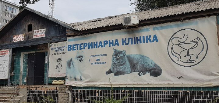 Скидки в Айболитной на услуги