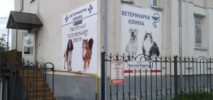 Недорого «ветлікарня на ярослава мудрого»