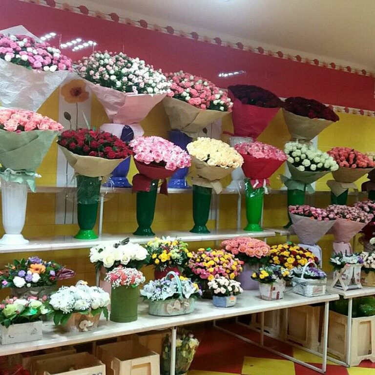 Магазины Цветов Поляны