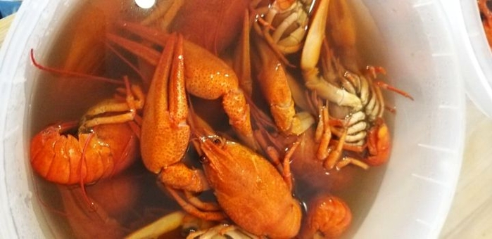 Crayfish delivery in kiev, discount.
