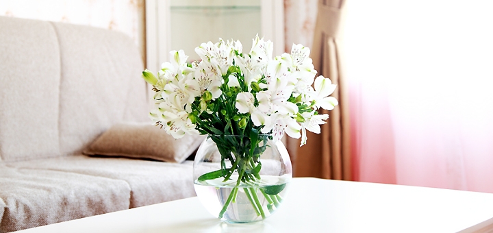Anahitta hotel near Kiev. Book your holiday with 8 promotion
