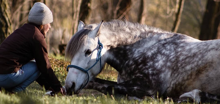 кінний клуб Family_horse_club знижка