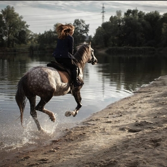 кінний клуб Family_horse_club прогулянки верхи акція