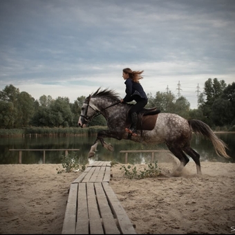 кінний клуб Family_horse_club прогулянки верхи вартість