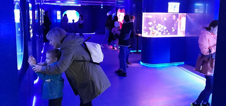 Музей Медуз в Киеве, скидки