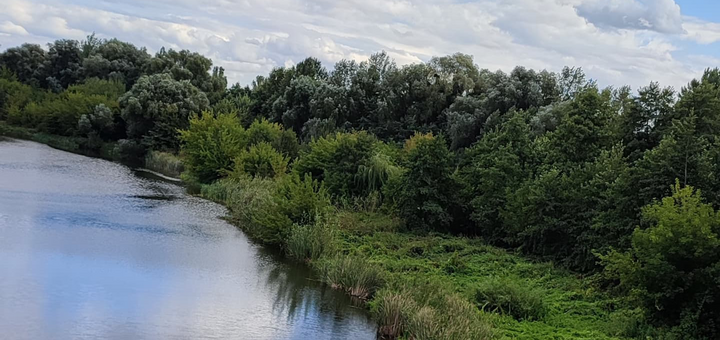 База відпочинку Лісова казка під Києвом. Бронюйте за акцією 19