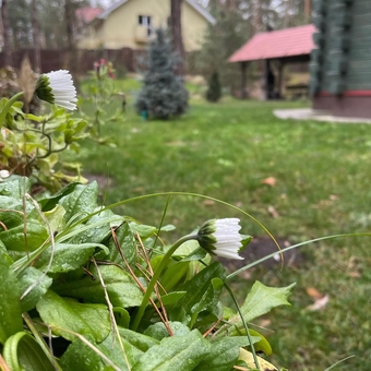 Еко-комплекс Greenhouse під Києвом. Бронюйте за акцією 84