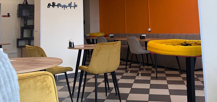 Murcota Cat Cafe. Visit with a special offer of 4.