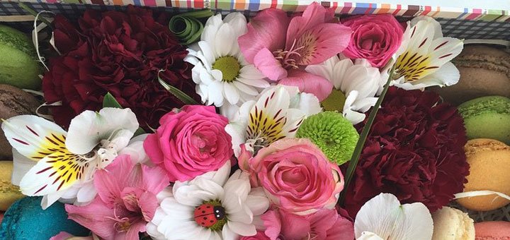 «Flowerbox». Действуют скидки 2