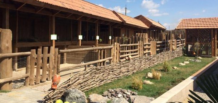 Зоопарк «Aquazoo» відвідуйте по акції 3