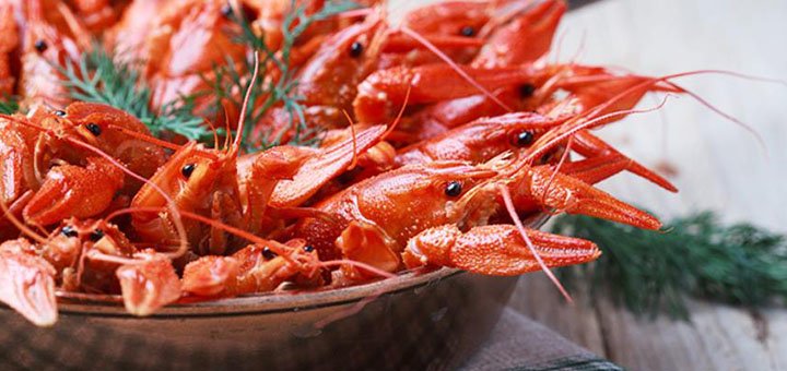 Доставка живых раков «Crayfish» по Киеву и Киевской области. Покупайте раков по акции.