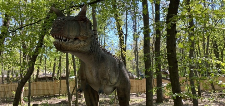 «Dinosaur Planet» Park at VDNKh. Visiting discounts.