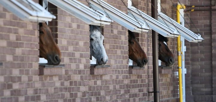 Discounts for rest in the park-hotel &quot;butenko stable&quot; near kiev43