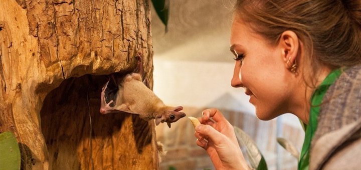 Знижки та акції в зоопарку «зворушливий зоопарк»