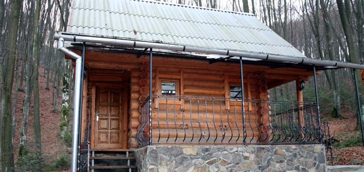 Знижки на відпочинок у готелі Шиповець31.