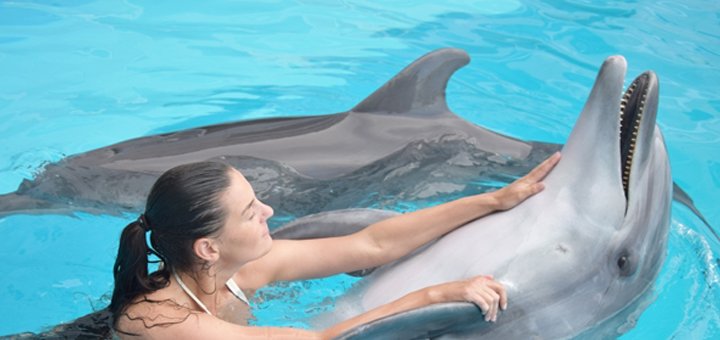 Купание в бассейне с дельфинами в дельфинарии «Немо». Покупайте со скидкой.